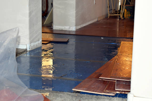 Professional Flood Cleanup technician working in Brookline, MA